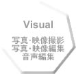Visual
